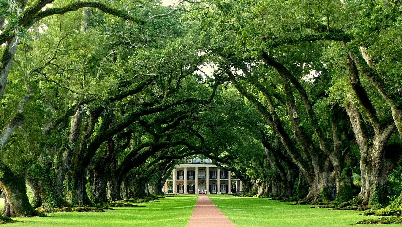 Oak Alley Plantation, Louisiana